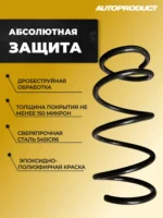 Комплект передних пружин RENAULT LOGAN — изображение 2